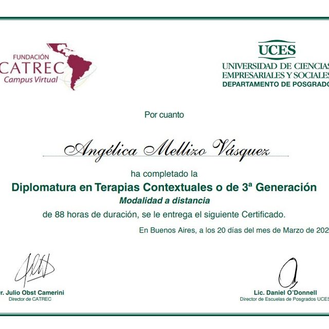 Acercar imagen: certificate 2