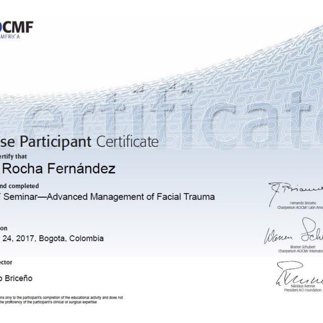 Acercar imagen: certificate 11