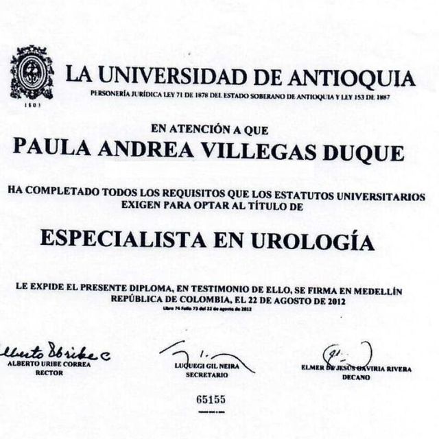 Acercar imagen: certificate 2