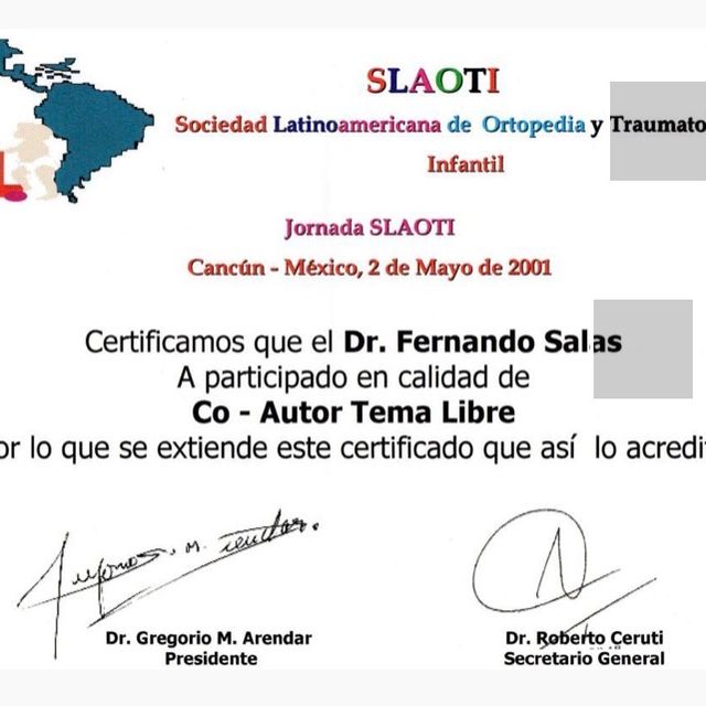 Acercar imagen: certificate 13