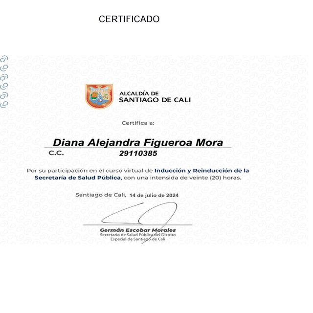Acercar imagen: certificate 4