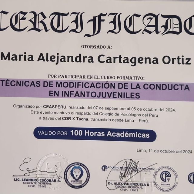 Acercar imagen: certificate 5