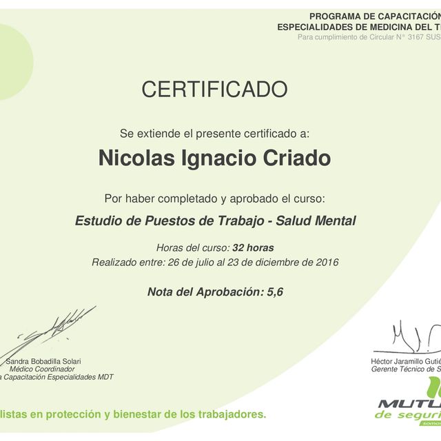 Acercar imagen: certificate 19