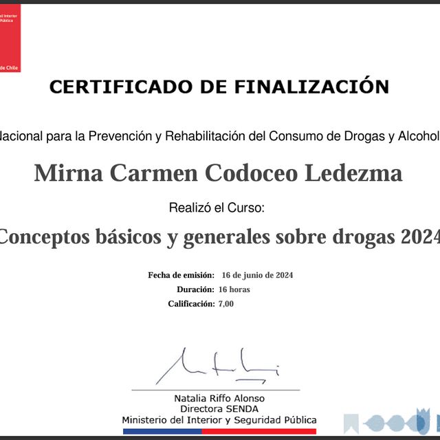 Acercar imagen: certificate 17