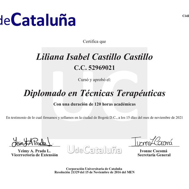 Acercar imagen: certificate 7