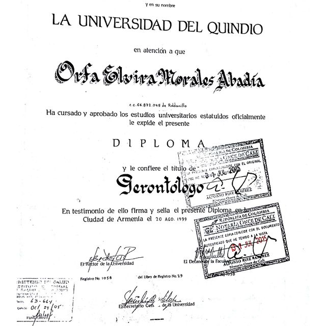Acercar imagen: certificate 2