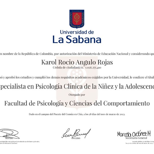 Acercar imagen: certificate 2