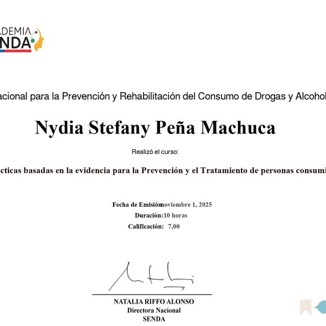 Acercar imagen: certificate 14