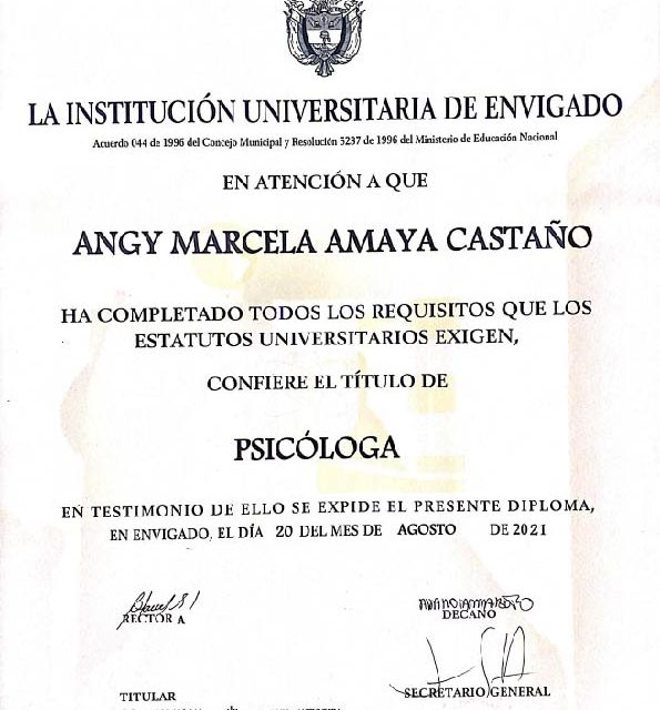 Acercar imagen: certificate 2