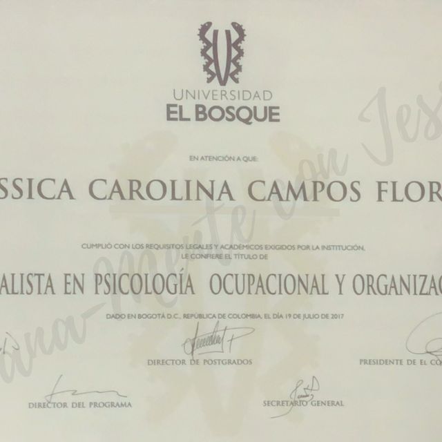 Acercar imagen: certificate 2