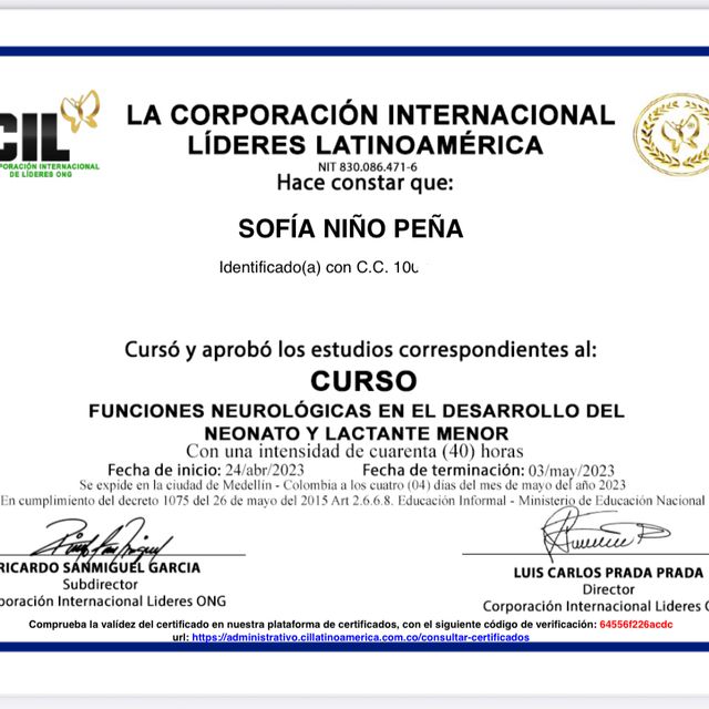 Acercar imagen: certificate 6