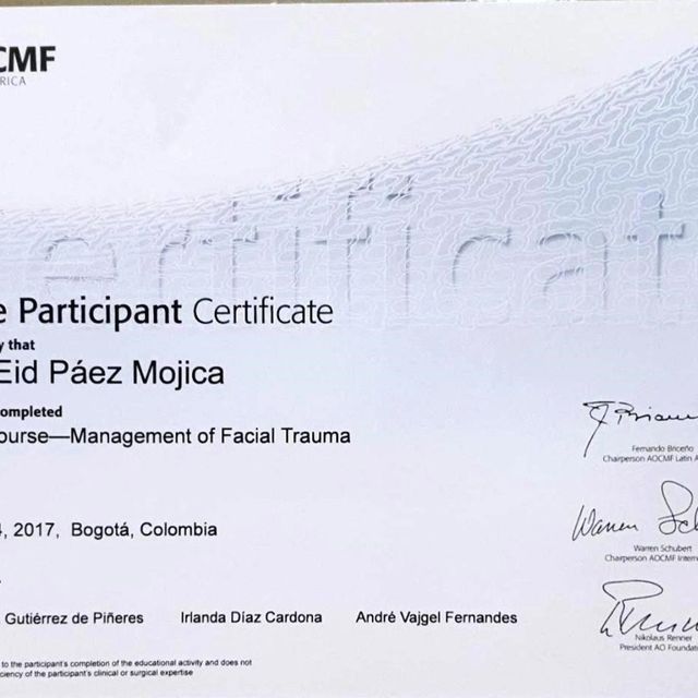 Acercar imagen: certificate 19