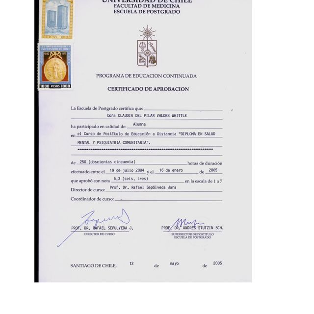 Acercar imagen: certificate 5