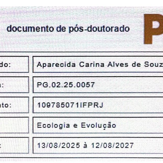 Ampliar imagem: certificate 3