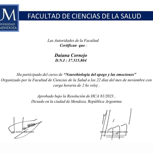 Acercar imagen: certificate 6