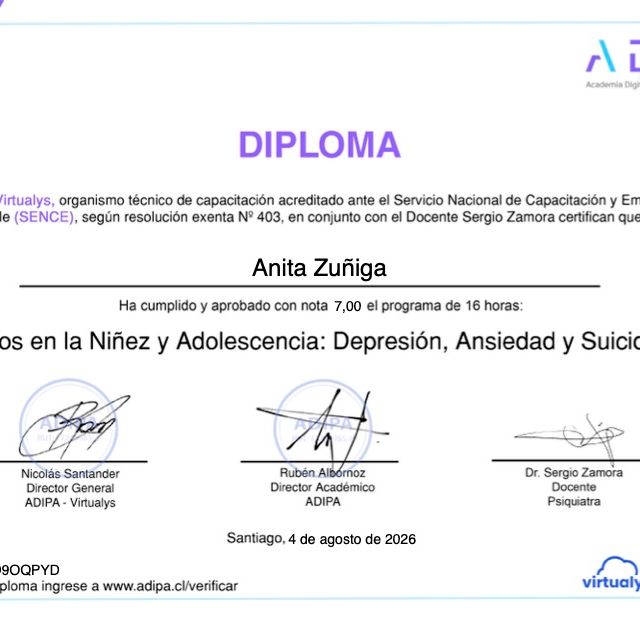 Acercar imagen: certificate 3