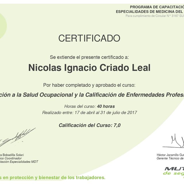 Acercar imagen: certificate 6