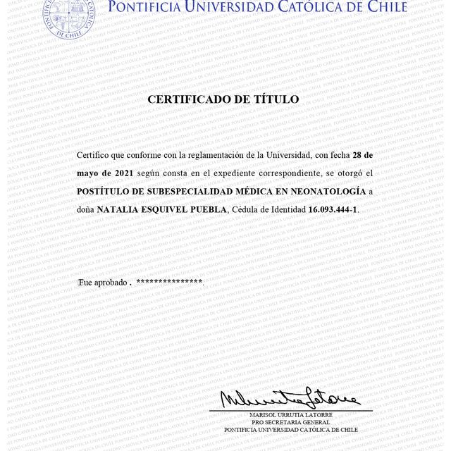 Acercar imagen: certificate 6
