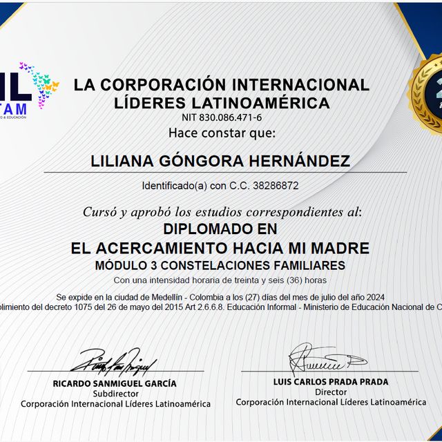 Acercar imagen: certificate 17