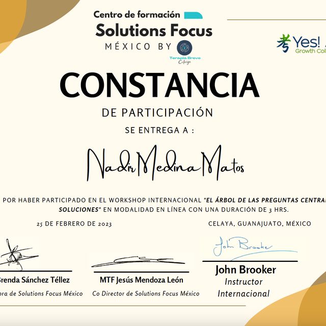 Acercar imagen: certificate 8