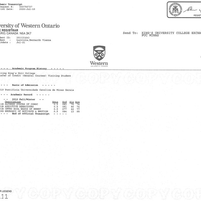 Ampliar imagem: certificate 4