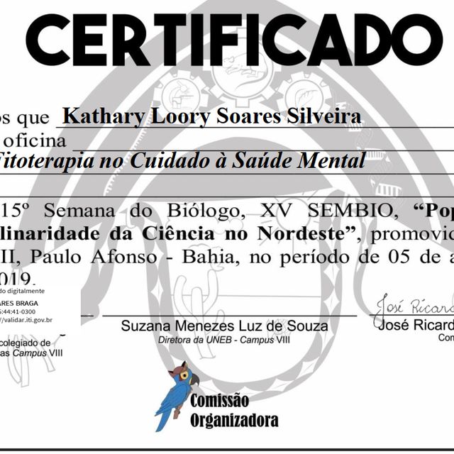 Ampliar imagem: certificate 2