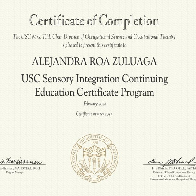 Acercar imagen: certificate 3