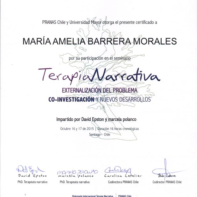 Acercar imagen: certificate 16