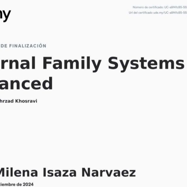 Acercar imagen: certificate 14