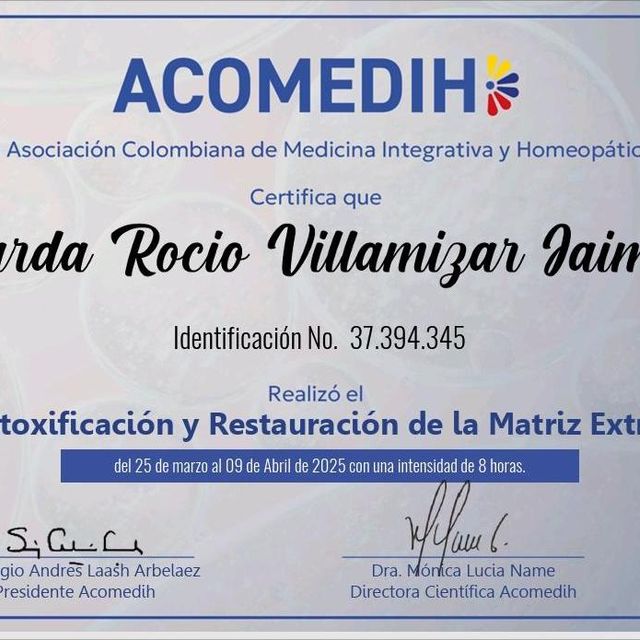 Acercar imagen: certificate 3