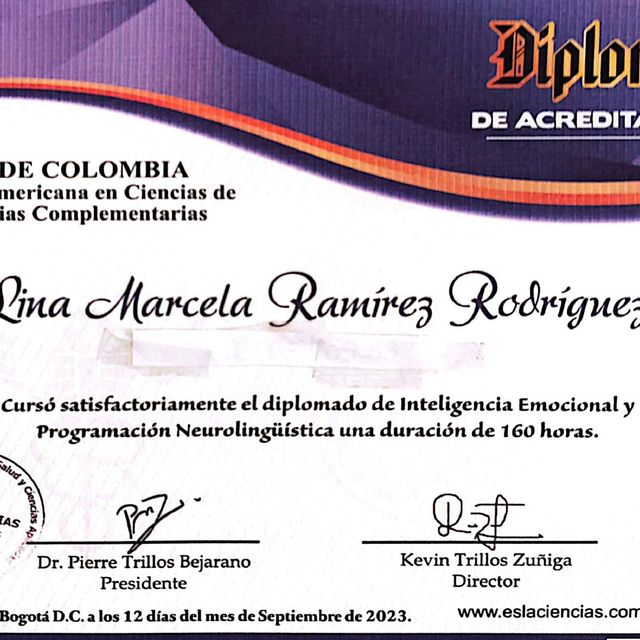 Acercar imagen: certificate 4