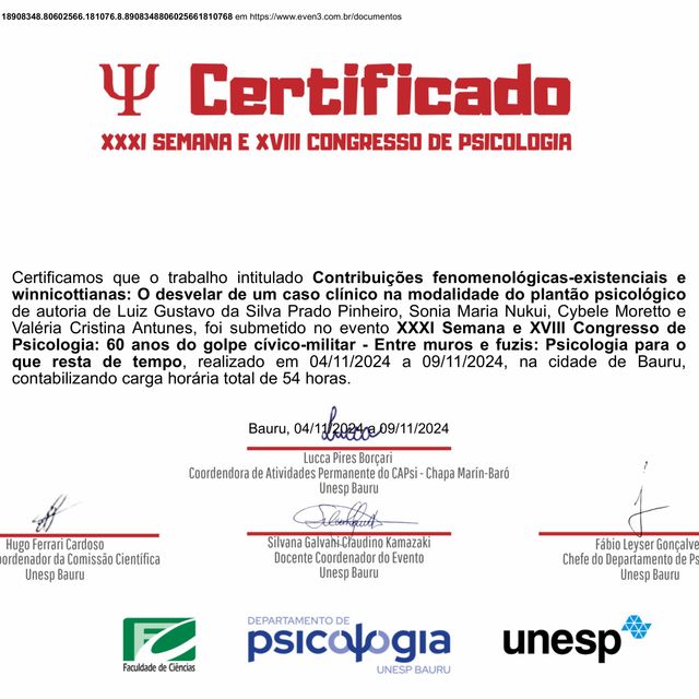 Ampliar imagem: certificate 2