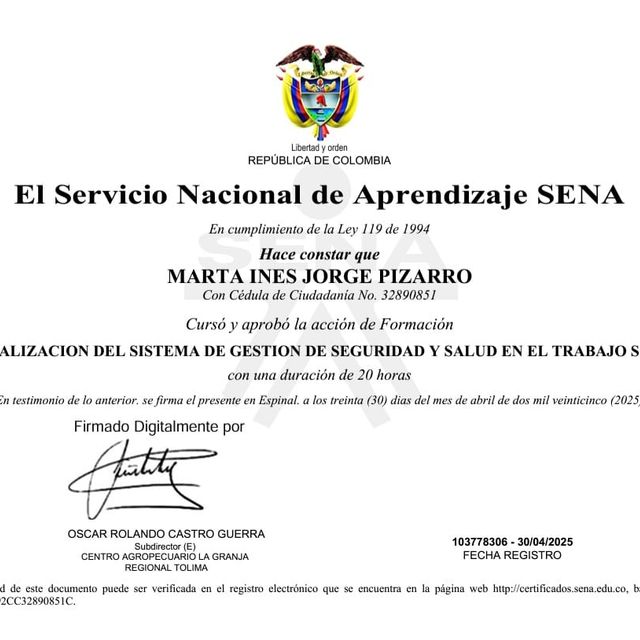 Acercar imagen: certificate 3