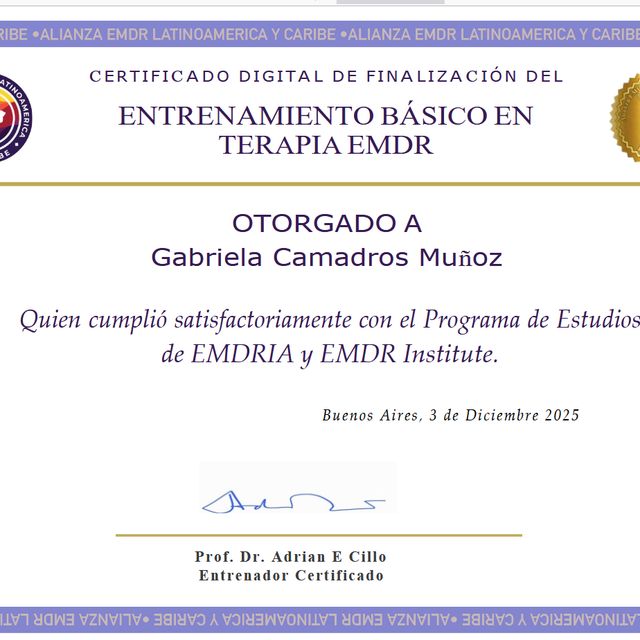 Acercar imagen: certificate 2