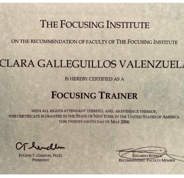 Acercar imagen: certificate 3