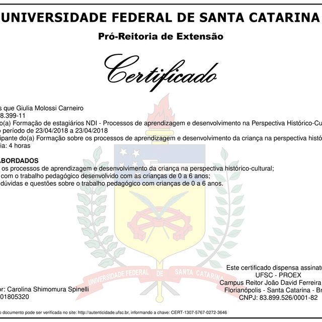 Ampliar imagem: certificate 13