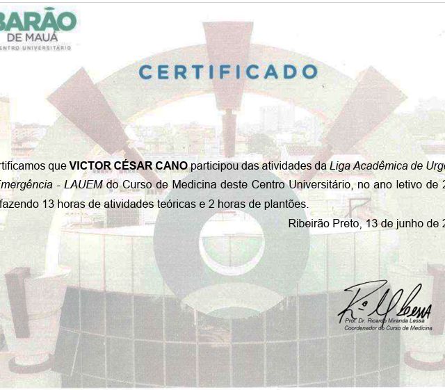Ampliar imagem: certificate 28