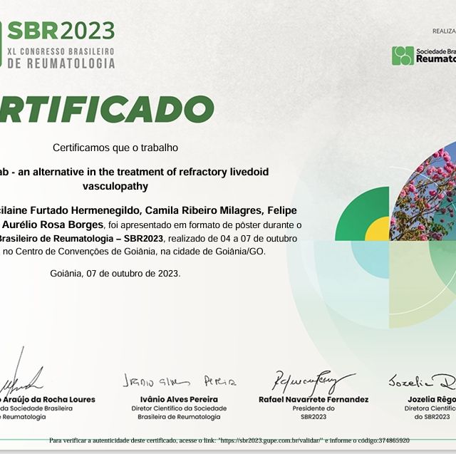 Ampliar imagem: certificate 4