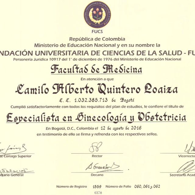 Acercar imagen: certificate 2