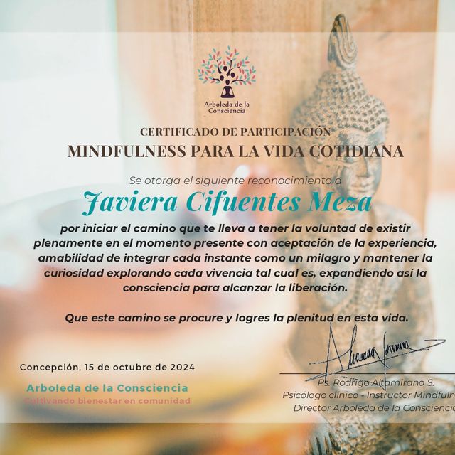Acercar imagen: certificate 2