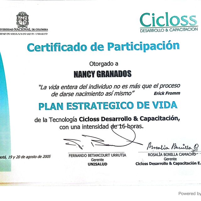 Acercar imagen: certificate 17