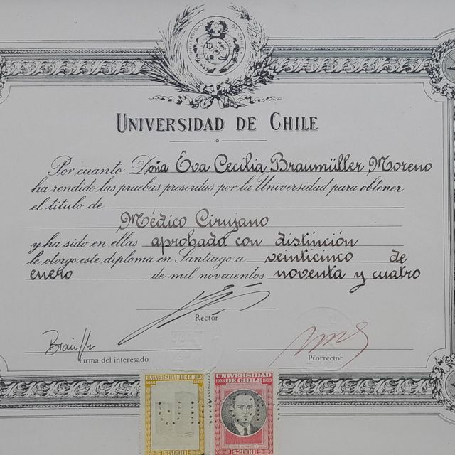 Acercar imagen: certificate 6