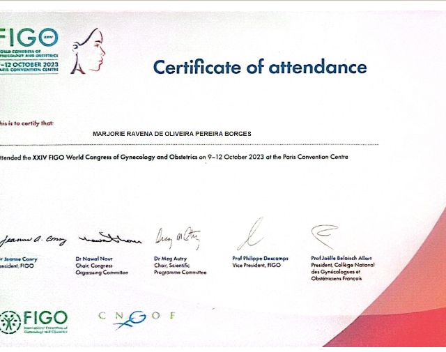 Ampliar imagem: certificate 3