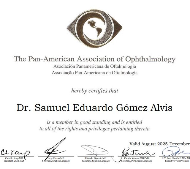 Acercar imagen: certificate 6