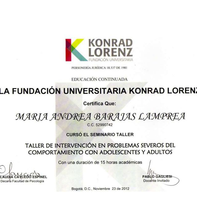 Acercar imagen: certificate 5