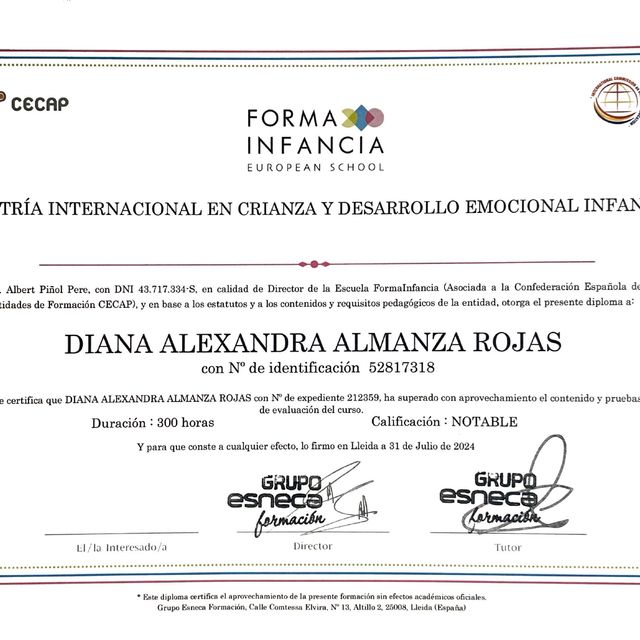 Acercar imagen: certificate 3