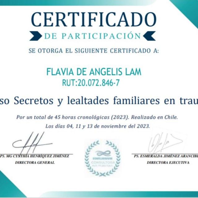 Acercar imagen: certificate 4