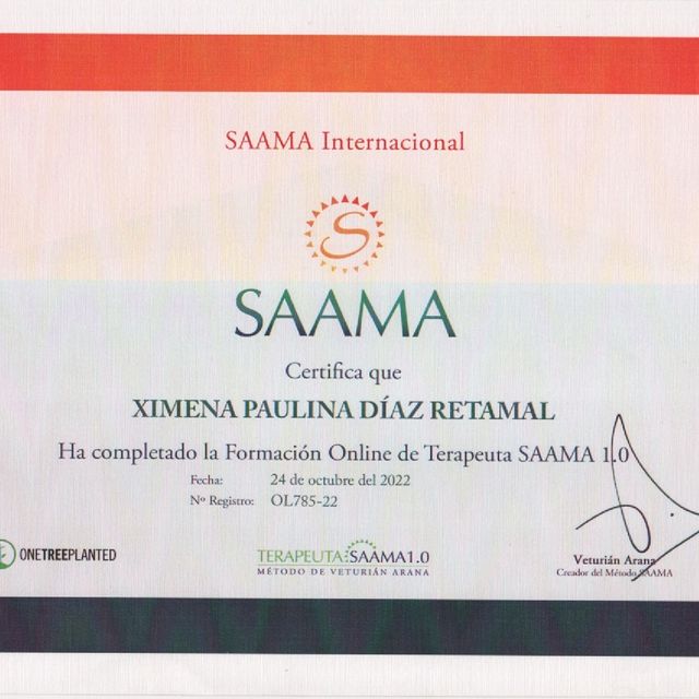 Acercar imagen: certificate 3