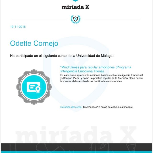 Acercar imagen: certificate 4