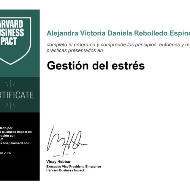 Acercar imagen: certificate 14